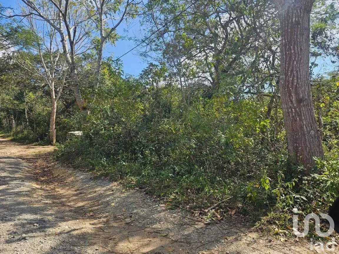 Terreno en Venta en Tuxtla Gutiérrez (Francisco Sarabia), Ocozocoautla de Espinosa, Chiapas | NEX-270429 | iad México | Foto 7 de 9