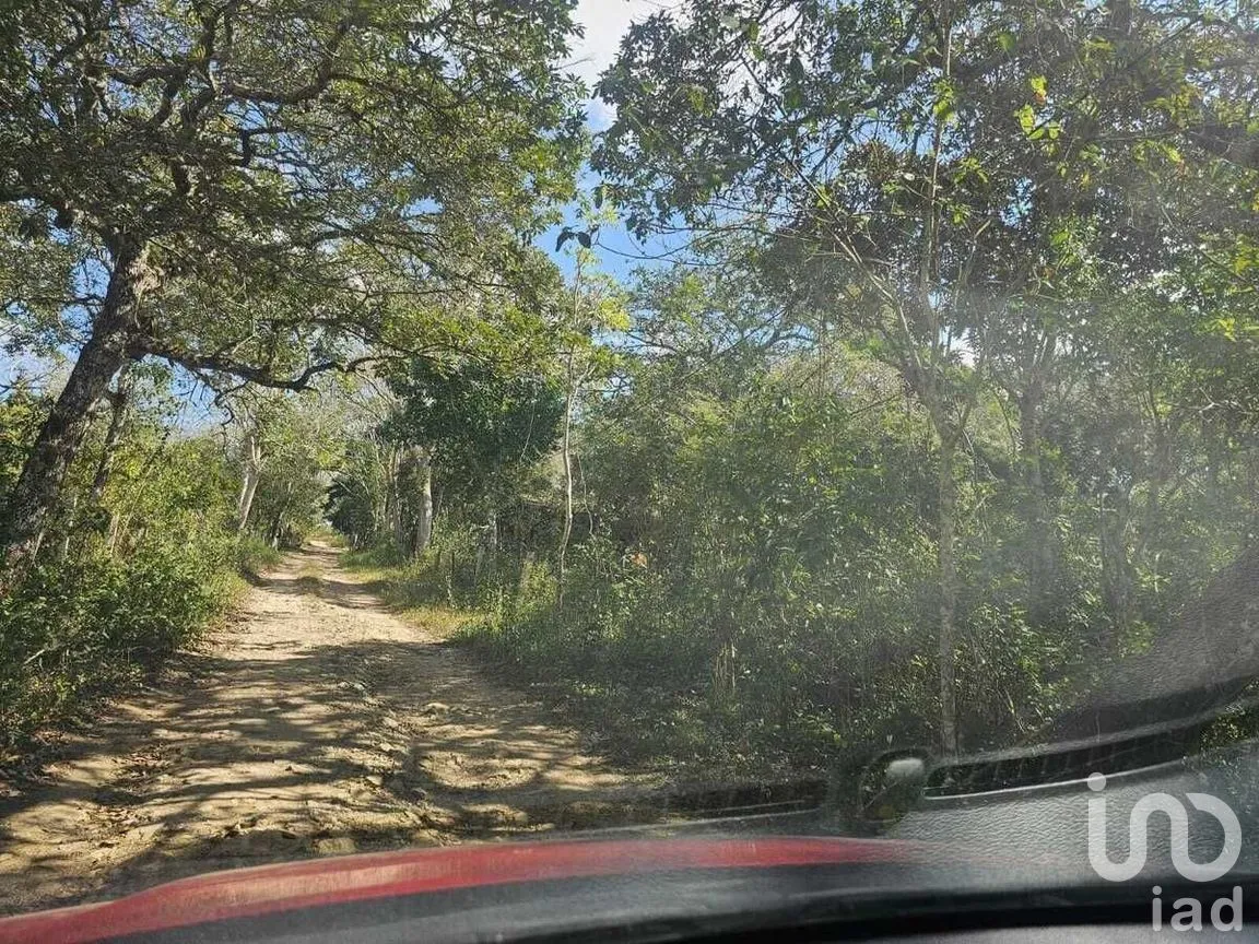 Terreno en Venta en Tuxtla Gutiérrez (Francisco Sarabia), Ocozocoautla de Espinosa, Chiapas | NEX-270429 | iad México | Foto 9 de 9