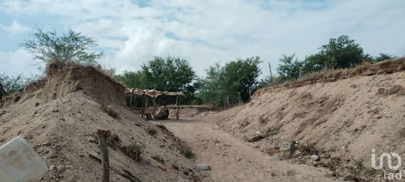 Terreno en Venta en Galecio Narcia, Chiapa de Corzo, Chiapas | NEX-270431 | iad México | Foto 12 de 28