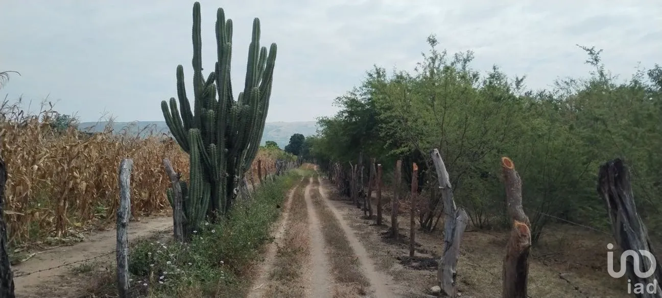 Terreno en Venta en Galecio Narcia, Chiapa de Corzo, Chiapas | NEX-270431 | iad México | Foto 3 de 28