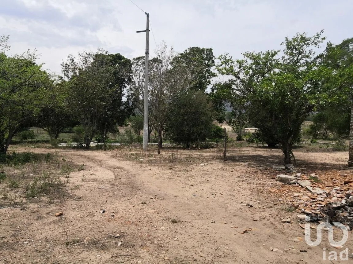 Terreno en Venta en Galecio Narcia, Chiapa de Corzo, Chiapas | NEX-270431 | iad México | Foto 21 de 28