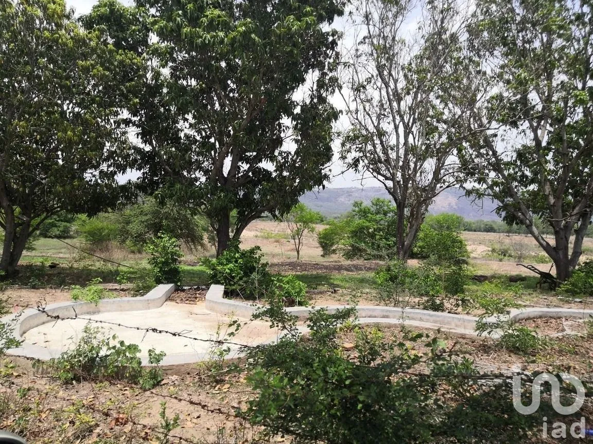 Terreno en Venta en Galecio Narcia, Chiapa de Corzo, Chiapas | NEX-270431 | iad México | Foto 24 de 28