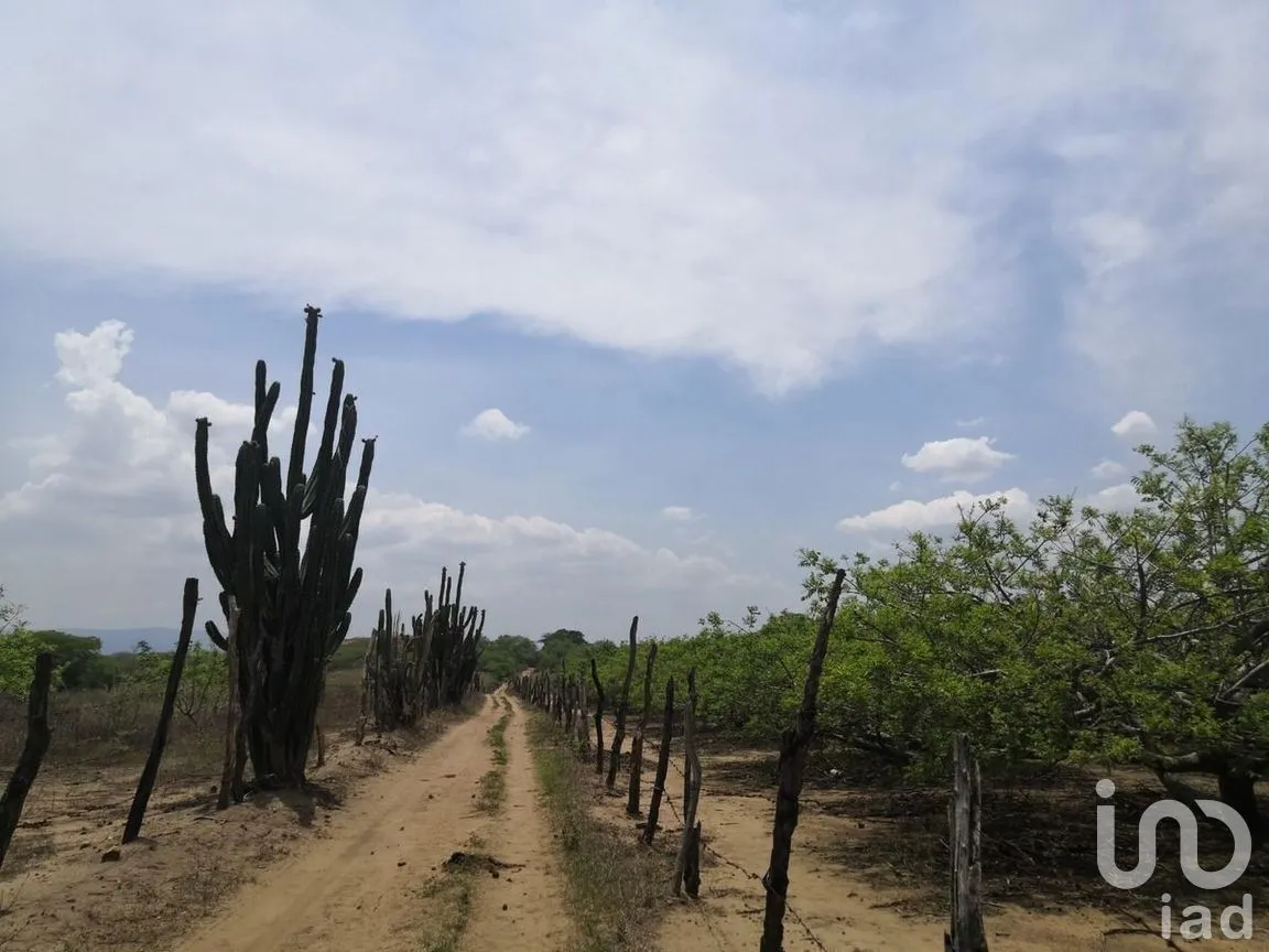 Terreno en Venta en Galecio Narcia, Chiapa de Corzo, Chiapas | NEX-270431 | iad México | Foto 26 de 28