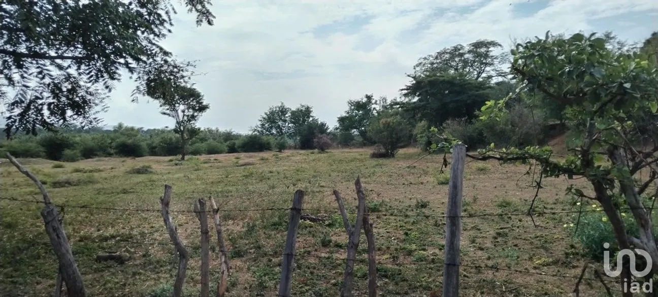 Terreno en Venta en Galecio Narcia, Chiapa de Corzo, Chiapas | NEX-270431 | iad México | Foto 5 de 28