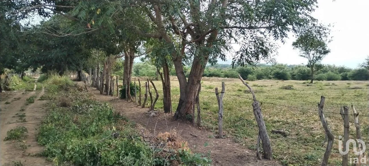 Terreno en Venta en Galecio Narcia, Chiapa de Corzo, Chiapas | NEX-270431 | iad México | Foto 6 de 28