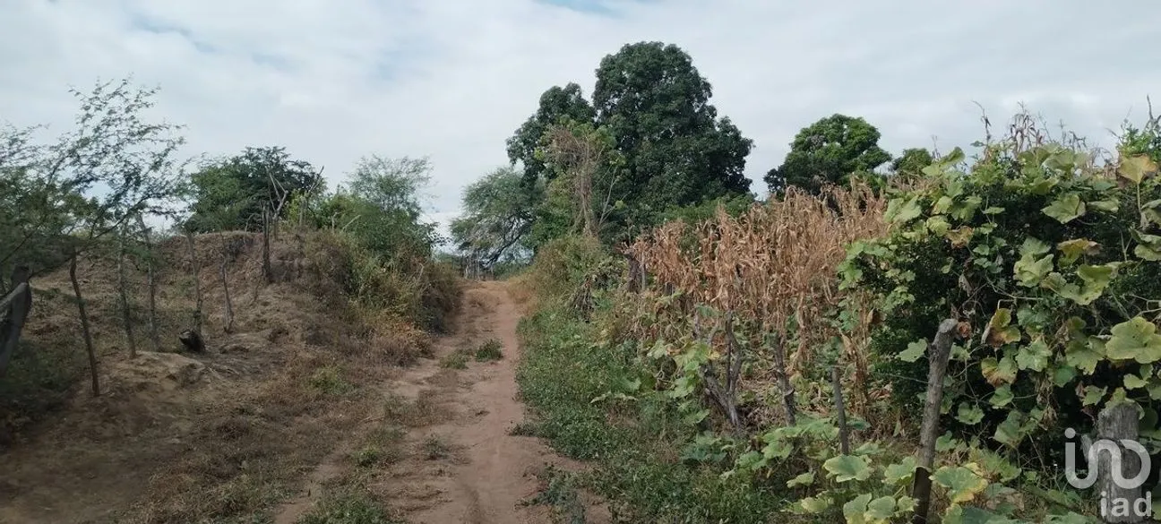 Terreno en Venta en Galecio Narcia, Chiapa de Corzo, Chiapas | NEX-270431 | iad México | Foto 7 de 28