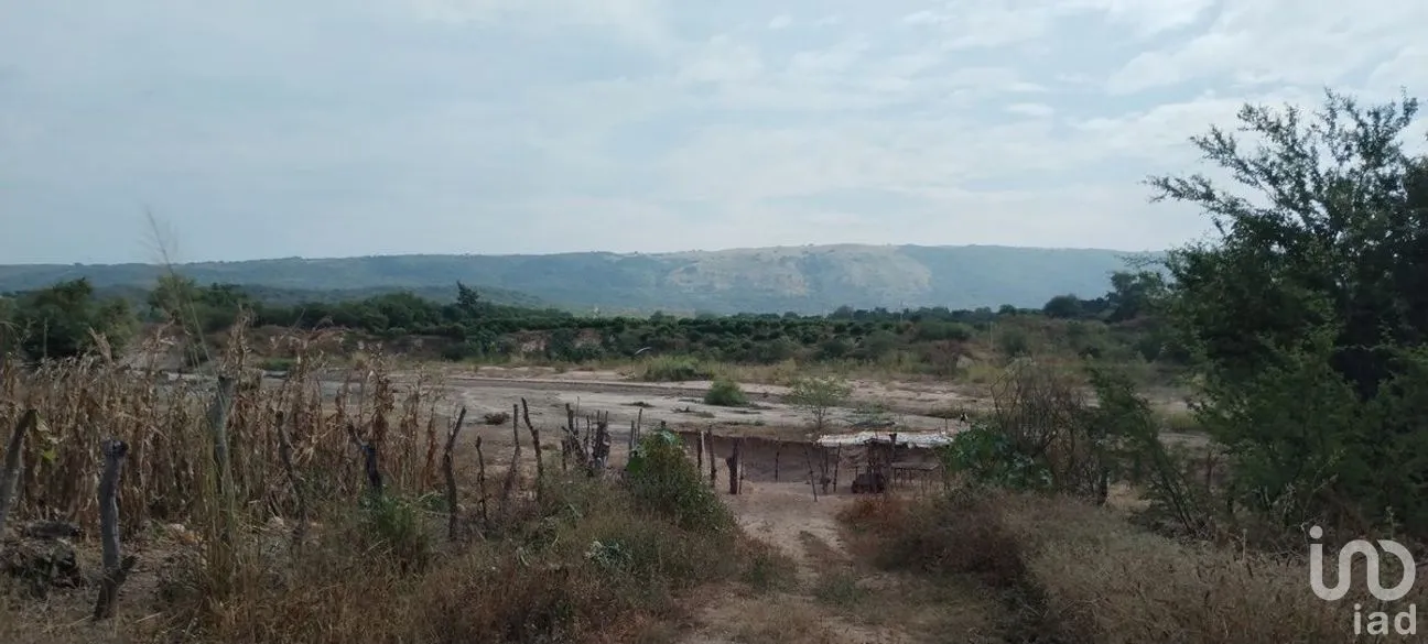Terreno en Venta en Galecio Narcia, Chiapa de Corzo, Chiapas | NEX-270431 | iad México | Foto 8 de 28
