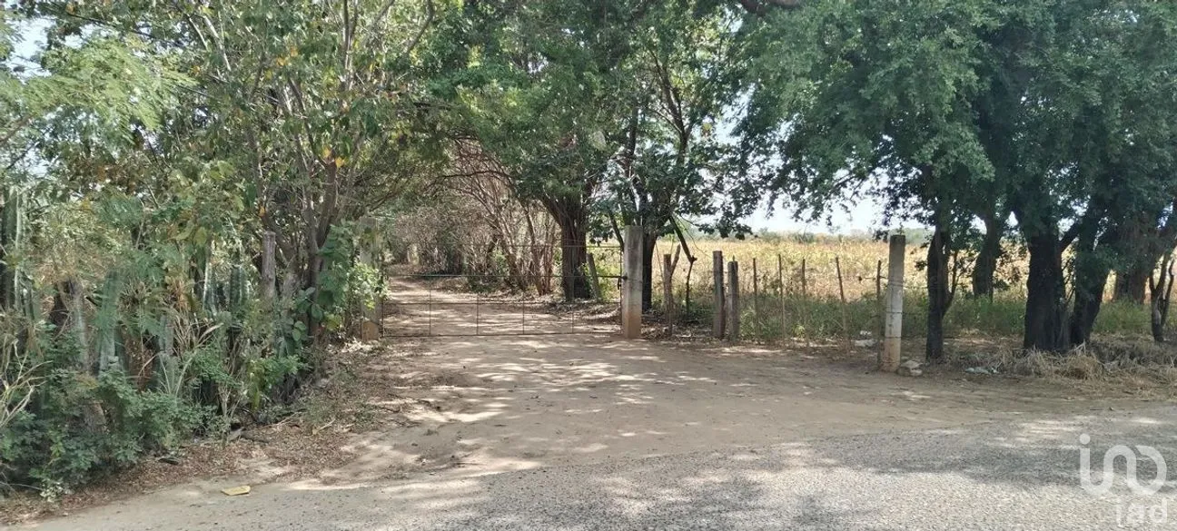 Terreno en Venta en Galecio Narcia, Chiapa de Corzo, Chiapas | NEX-270431 | iad México | Foto 1 de 28