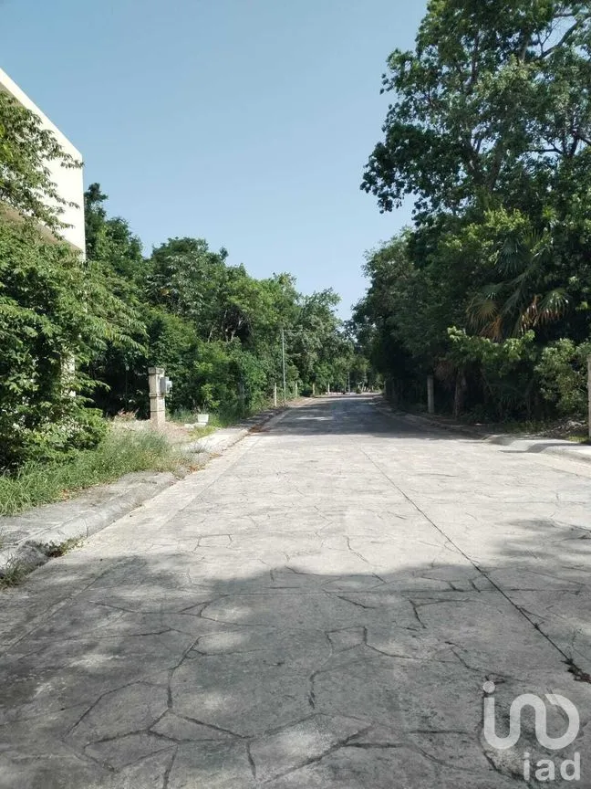 Terreno en Venta en Puerto Morelos, Puerto Morelos, Quintana Roo | NEX-270577 | iad México | Foto 3 de 15