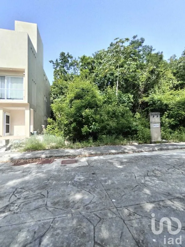 Terreno en Venta en Puerto Morelos, Puerto Morelos, Quintana Roo | NEX-270577 | iad México | Foto 4 de 15