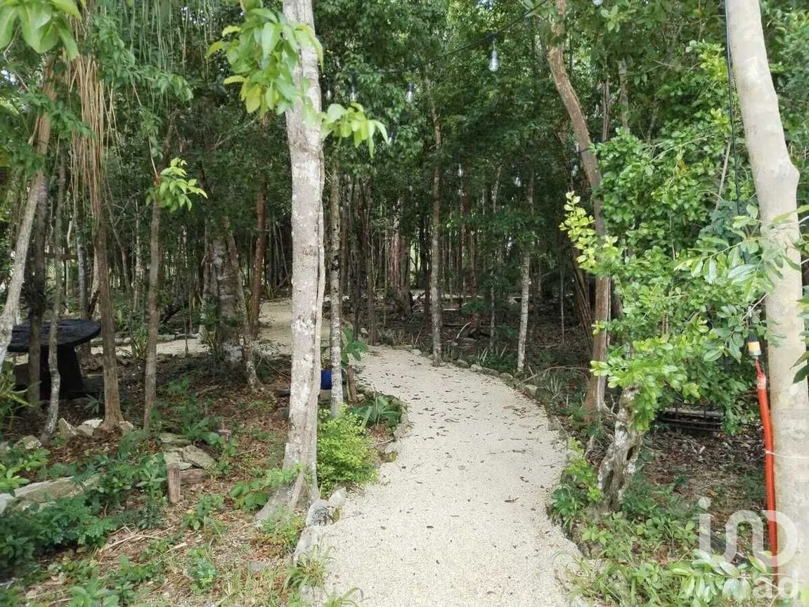 Terreno en Venta en Puerto Morelos, Puerto Morelos, Quintana Roo | NEX-270577 | iad México | Foto 9 de 15