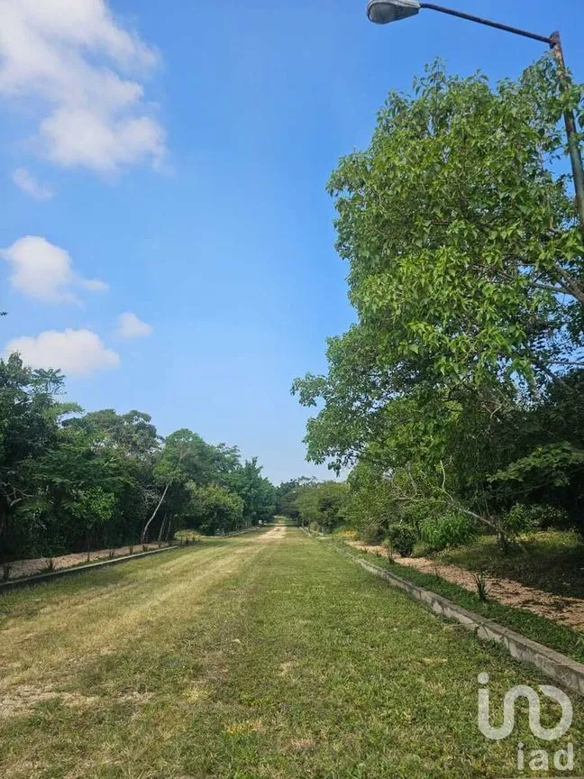 Terreno en Venta en Berriozabal Centro, Berriozábal, Chiapas | NEX-275172 | iad México | Foto 11 de 16