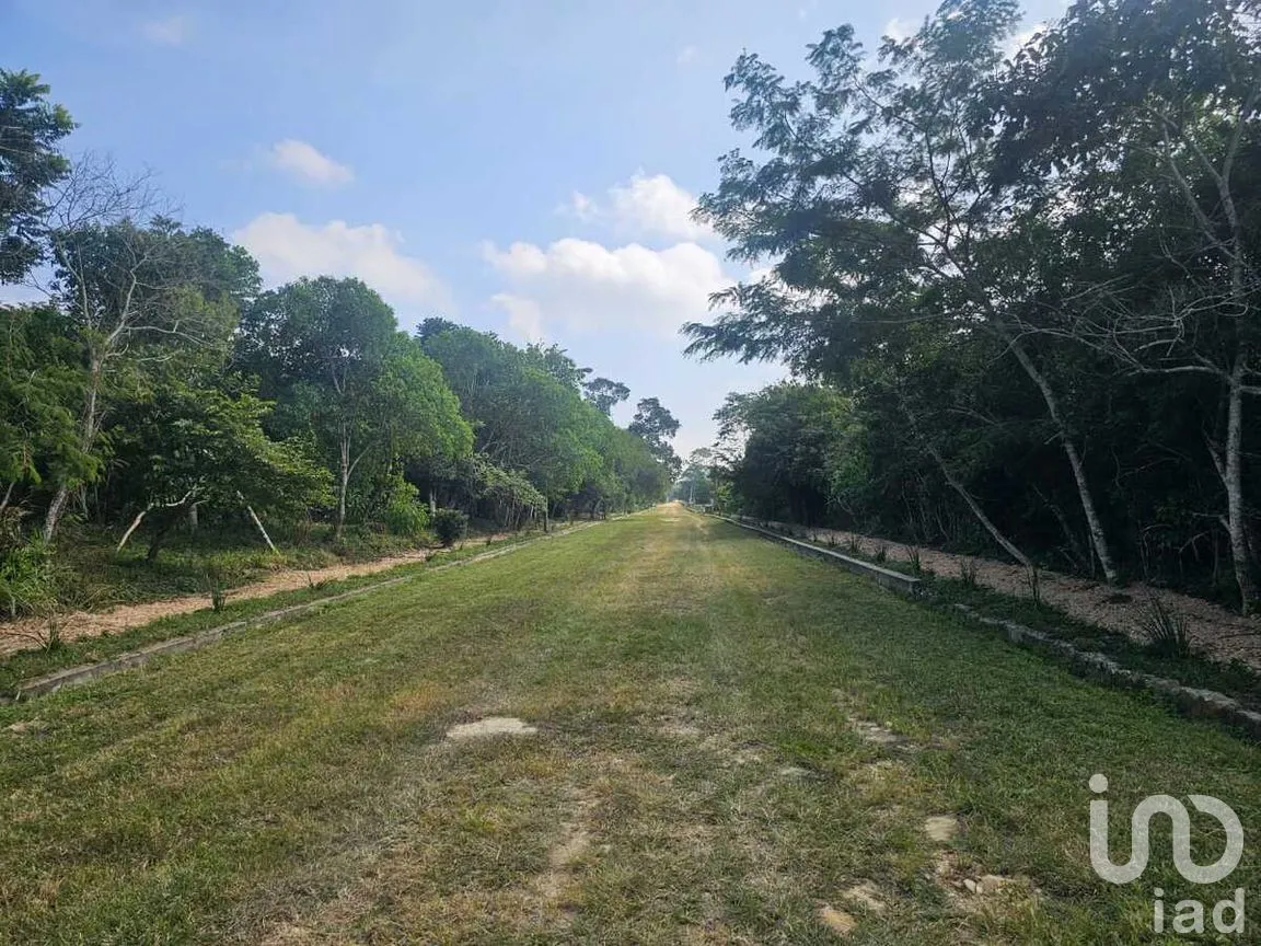 Terreno en Venta en Berriozabal Centro, Berriozábal, Chiapas | NEX-275172 | iad México | Foto 12 de 16