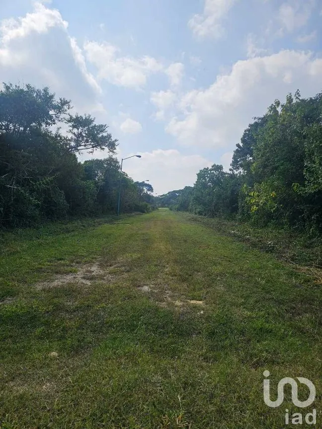 Terreno en Venta en Berriozabal Centro, Berriozábal, Chiapas | NEX-275172 | iad México | Foto 13 de 16
