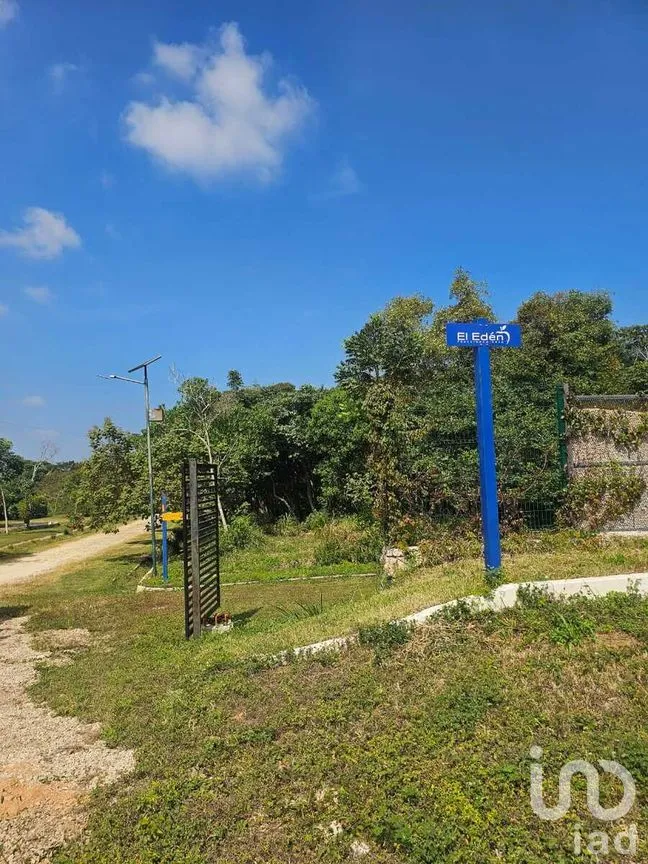 Terreno en Venta en Berriozabal Centro, Berriozábal, Chiapas | NEX-275172 | iad México | Foto 4 de 16