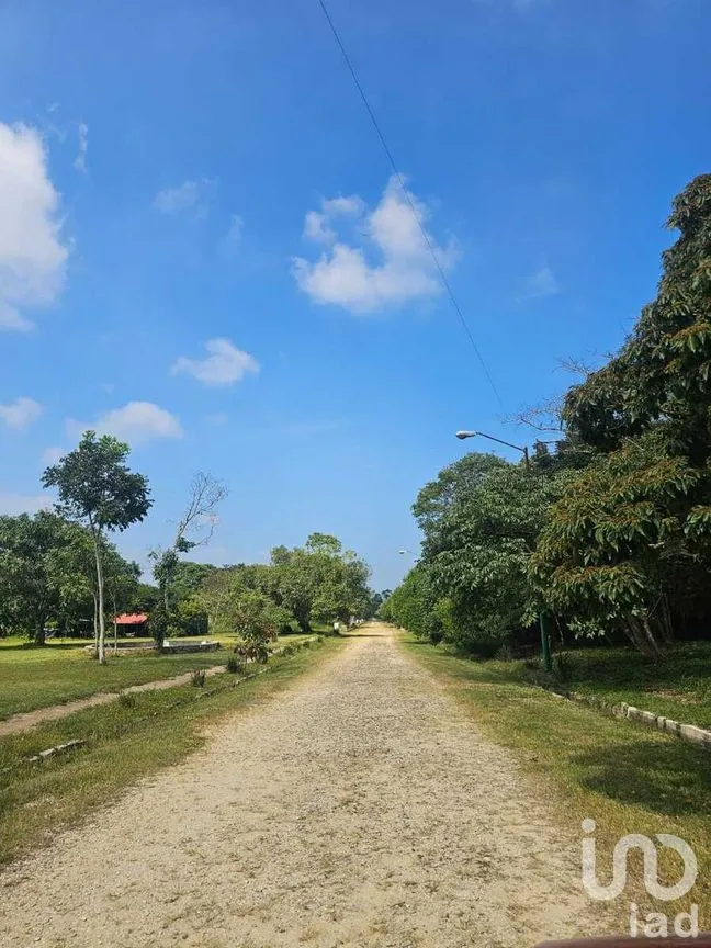Terreno en Venta en Berriozabal Centro, Berriozábal, Chiapas | NEX-275172 | iad México | Foto 10 de 16