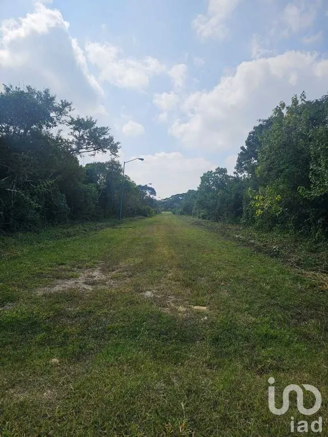 Terreno en Venta en Berriozabal Centro, Berriozábal, Chiapas | NEX-275173 | iad México | Foto 13 de 16