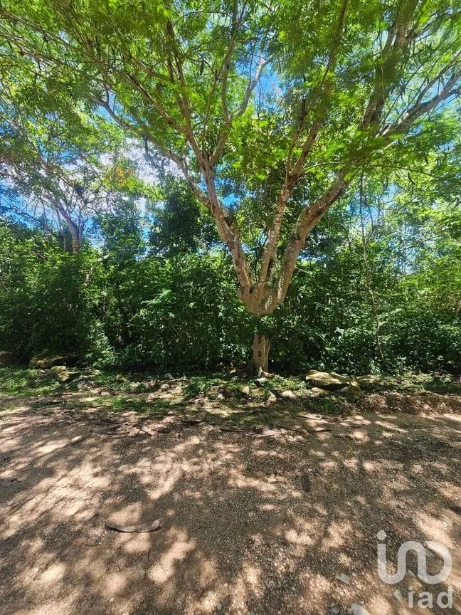 Terreno en Venta en Berriozabal Centro, Berriozábal, Chiapas | NEX-279138 | iad México | Foto 2 de 8