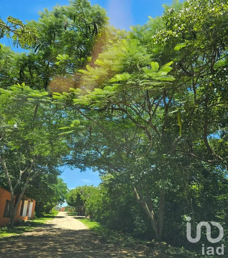Terreno en Venta en Berriozabal Centro, Berriozábal, Chiapas | NEX-279138 | iad México | Foto 3 de 8