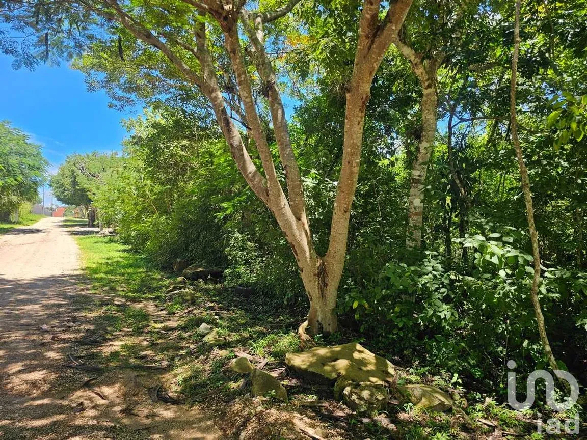 Terreno en Venta en Berriozabal Centro, Berriozábal, Chiapas | NEX-279138 | iad México | Foto 4 de 8