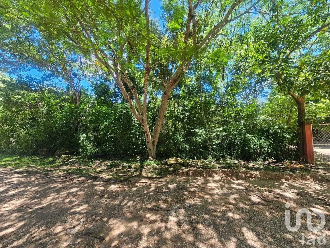 Terreno en Venta en Berriozabal Centro, Berriozábal, Chiapas | NEX-279138 | iad México | Foto 5 de 8