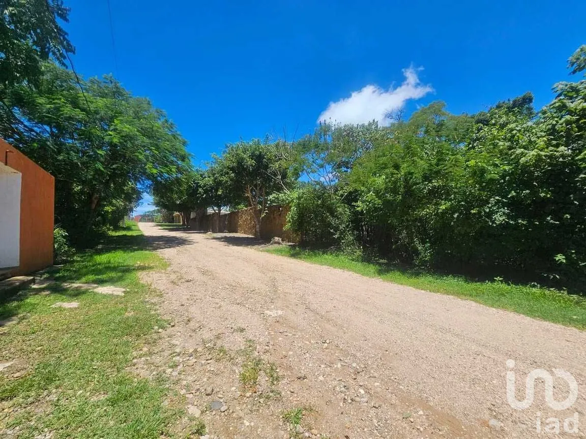 Terreno en Venta en Berriozabal Centro, Berriozábal, Chiapas | NEX-279138 | iad México | Foto 6 de 8