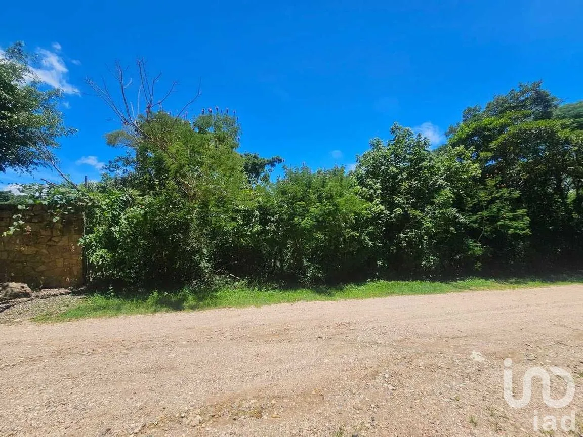 Terreno en Venta en Berriozabal Centro, Berriozábal, Chiapas | NEX-279138 | iad México | Foto 7 de 8