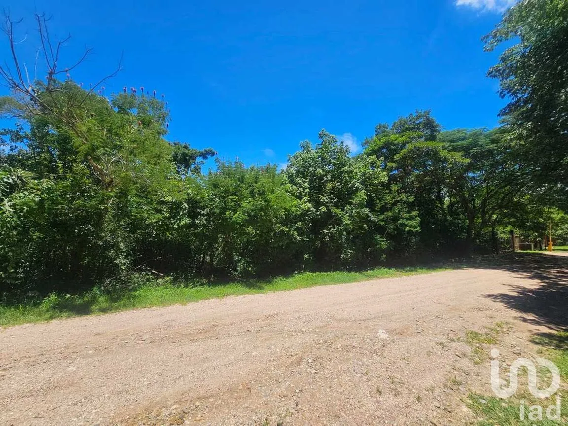 Terreno en Venta en Berriozabal Centro, Berriozábal, Chiapas | NEX-279138 | iad México | Foto 8 de 8