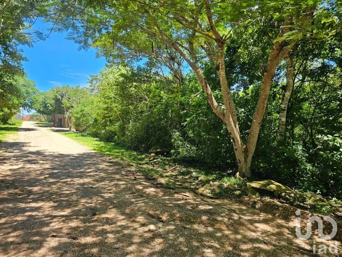 Terreno en Venta en Berriozabal Centro, Berriozábal, Chiapas | NEX-279138 | iad México | Foto 1 de 8