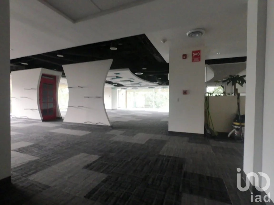 Oficina en Renta en Polanco II Sección, Miguel Hidalgo, Ciudad de México | NEX-272560 | iad México | Foto 33 de 43