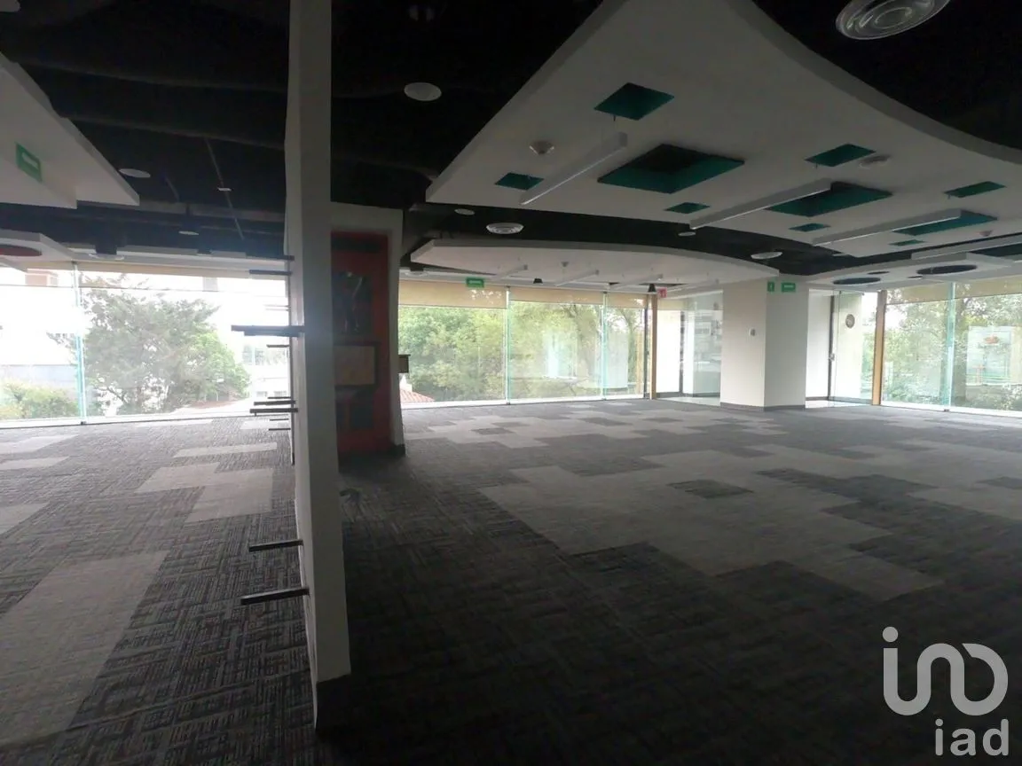 Oficina en Renta en Polanco II Sección, Miguel Hidalgo, Ciudad de México | NEX-272560 | iad México | Foto 40 de 43