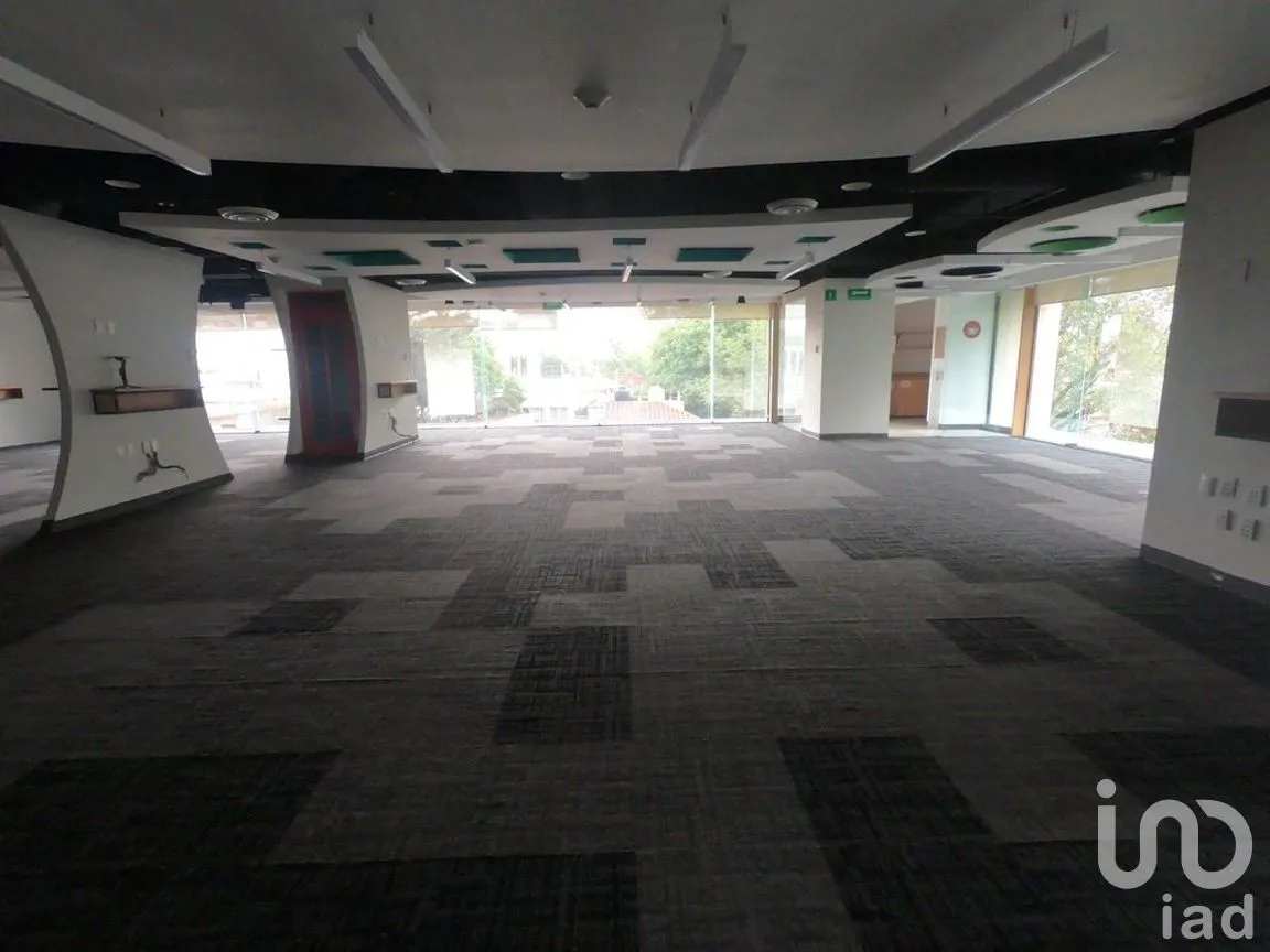Oficina en Renta en Polanco II Sección, Miguel Hidalgo, Ciudad de México | NEX-272560 | iad México | Foto 42 de 43