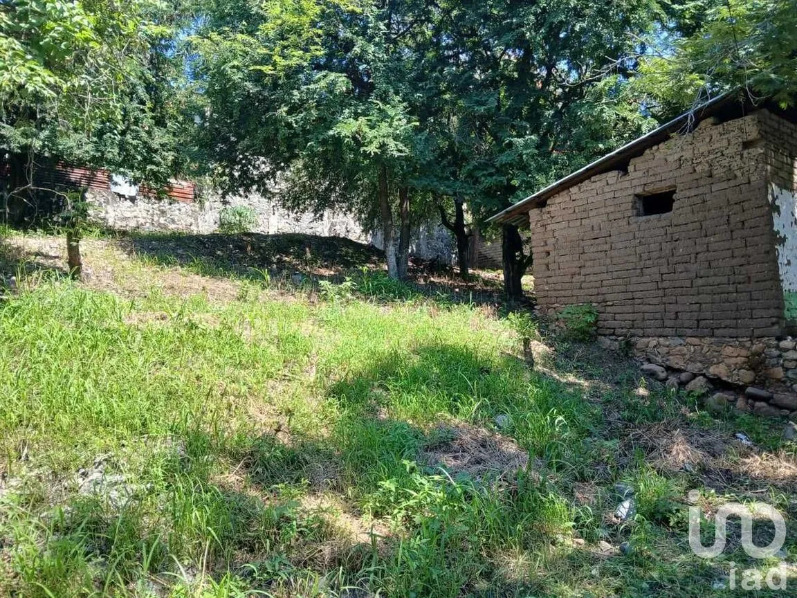 Terreno en Venta en Acatlipa Centro, Temixco, Morelos | NEX-275038 | iad México | Foto 2 de 11