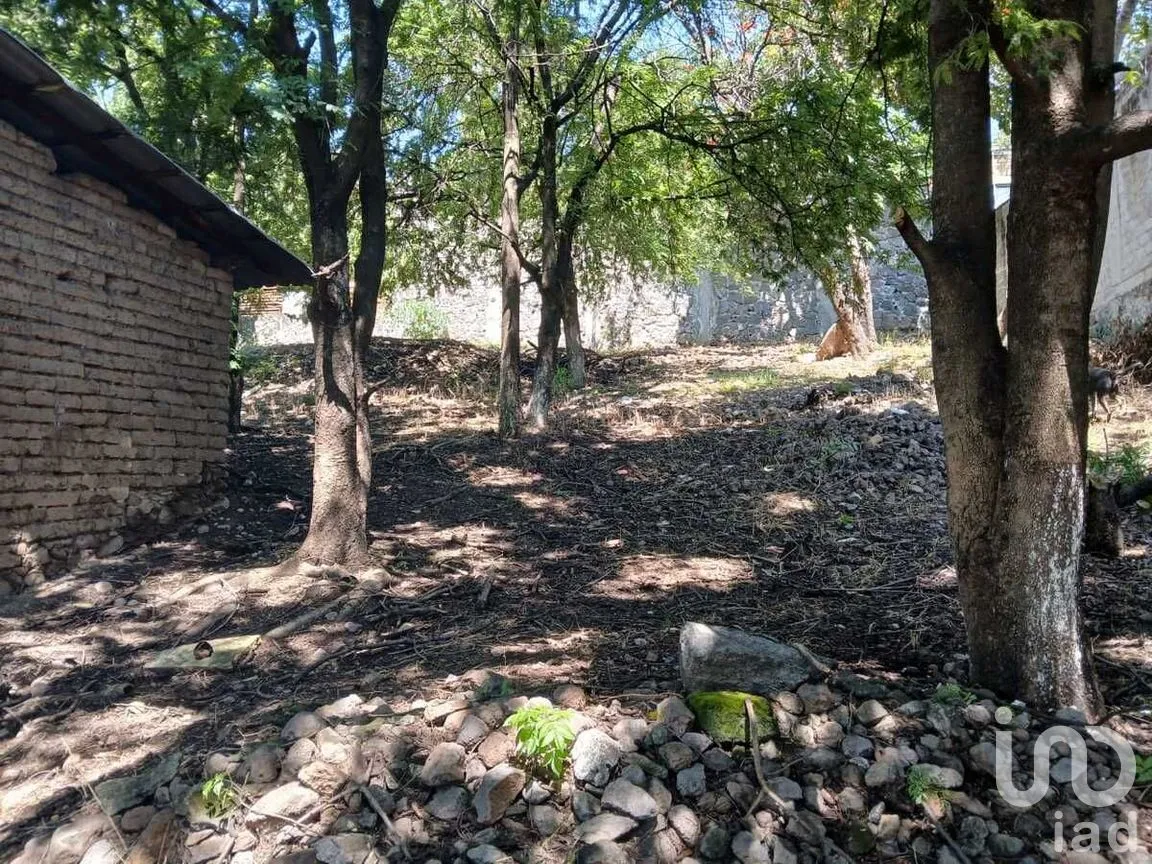 Terreno en Venta en Acatlipa Centro, Temixco, Morelos | NEX-275038 | iad México | Foto 11 de 11