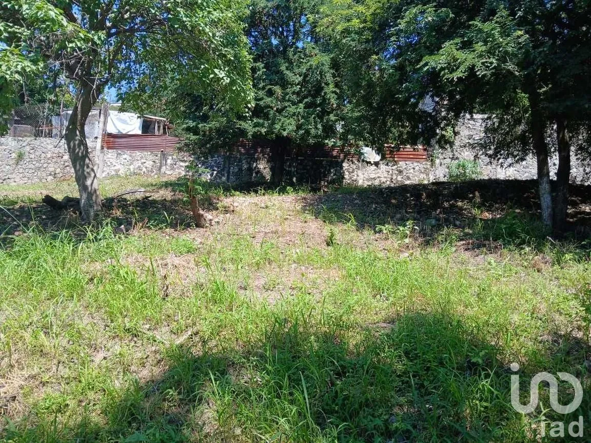 Terreno en Venta en Acatlipa Centro, Temixco, Morelos | NEX-275038 | iad México | Foto 4 de 11