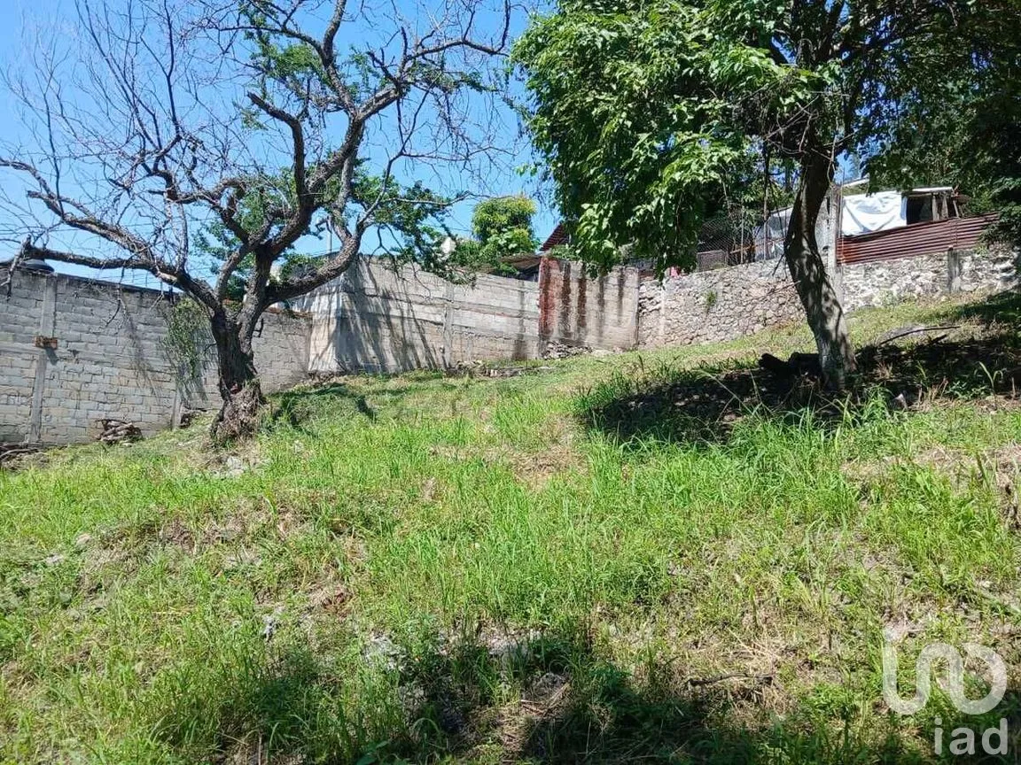 Terreno en Venta en Acatlipa Centro, Temixco, Morelos | NEX-275038 | iad México | Foto 8 de 11