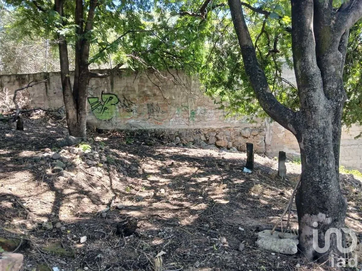 Terreno en Venta en Acatlipa Centro, Temixco, Morelos | NEX-275038 | iad México | Foto 9 de 11