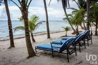 NEX-267602 - Casa en Venta, con 5 recamaras, con 6 baños, con 950 m2 de construcción.