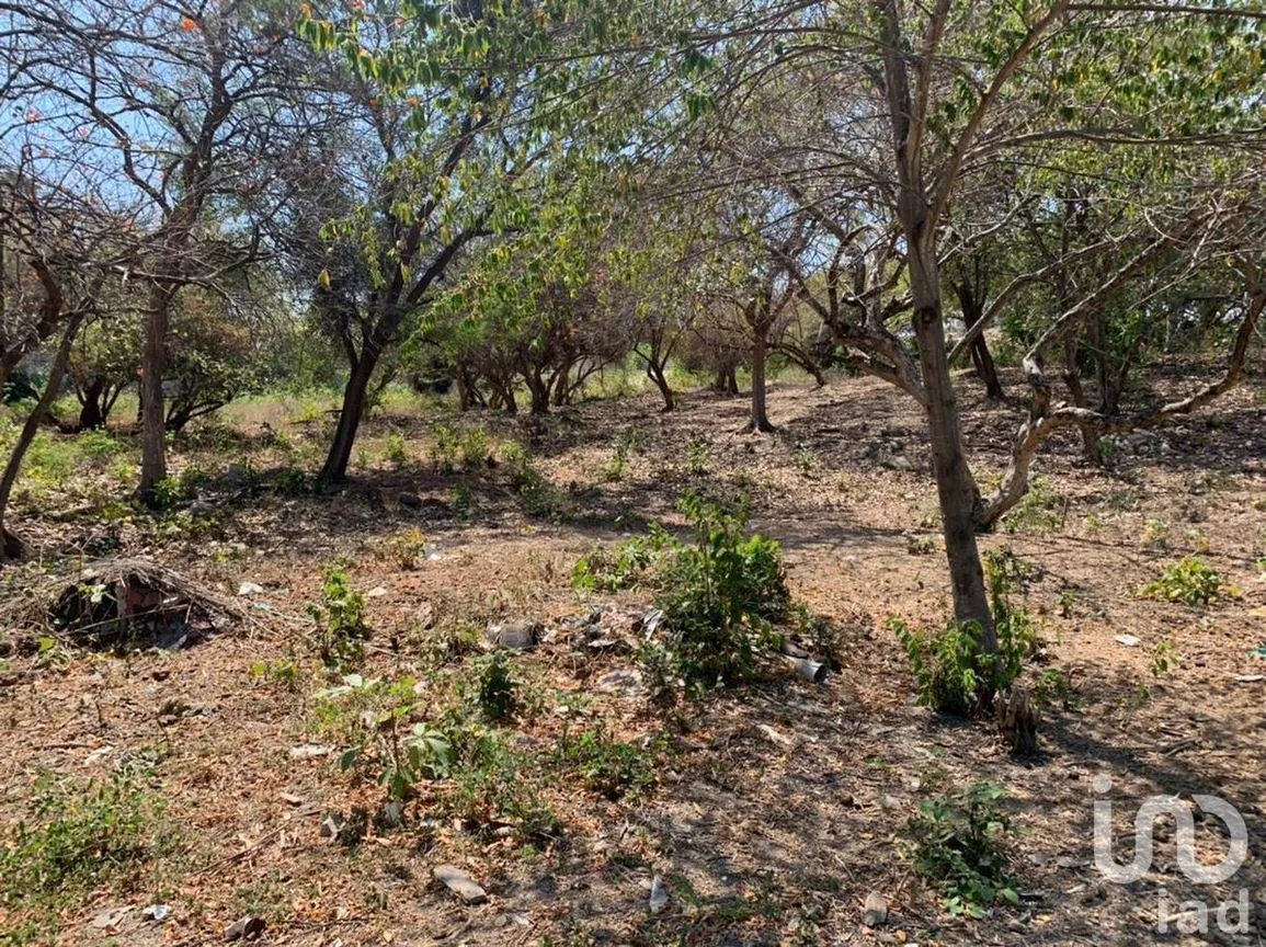 Terreno en Venta en Paseo del Bosque, Tuxtla Gutiérrez, Chiapas | NEX-226717 | iad México | Foto 8 de 8