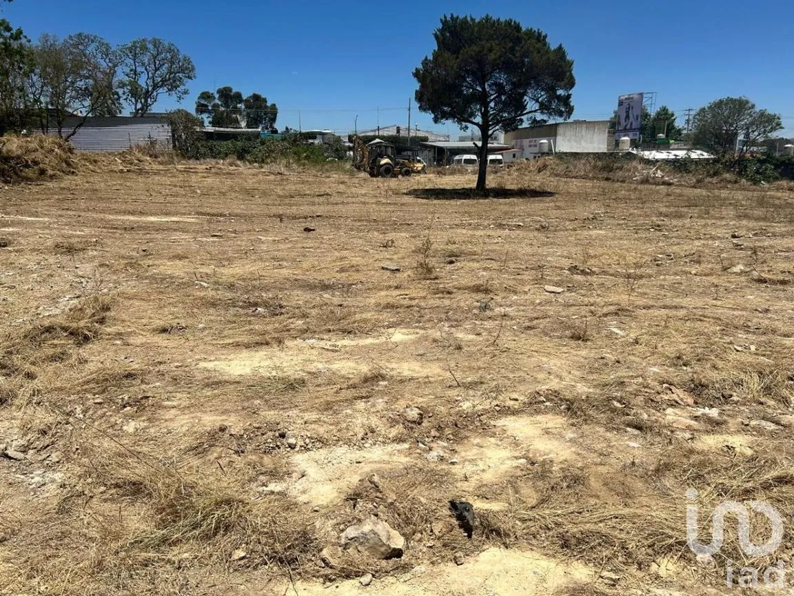 Terreno en Renta en Guadalupe, Comitán de Domínguez, Chiapas | NEX-266956 | iad México | Foto 7 de 19