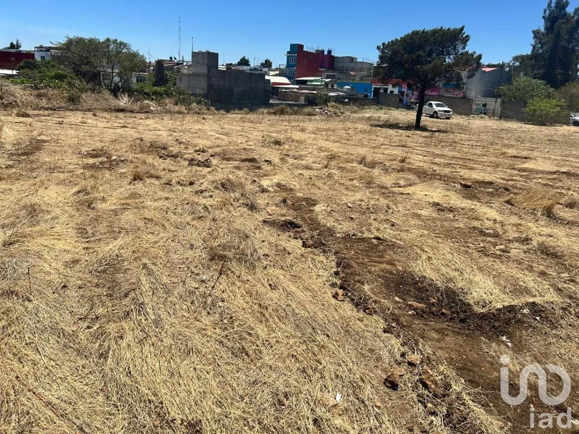 Terreno en Renta en Guadalupe, Comitán de Domínguez, Chiapas | NEX-266956 | iad México | Foto 8 de 19