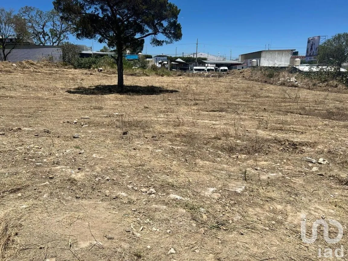 Terreno en Renta en Guadalupe, Comitán de Domínguez, Chiapas | NEX-266956 | iad México | Foto 9 de 19