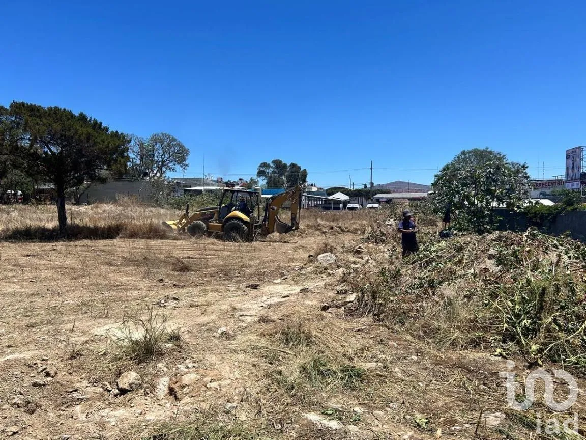 Terreno en Renta en Guadalupe, Comitán de Domínguez, Chiapas | NEX-266956 | iad México | Foto 10 de 19