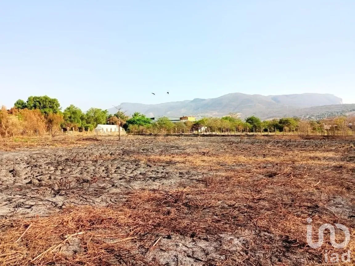 Terreno en Venta en Paso Limón, Tuxtla Gutiérrez, Chiapas | NEX-266961 | iad México | Foto 5 de 14