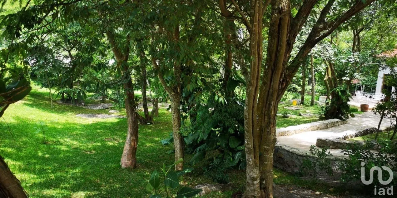 Casa en Venta en Ocozocoautla de Espinosa Centro, Ocozocoautla de Espinosa, Chiapas | NEX-266962 | iad México | Foto 21 de 22