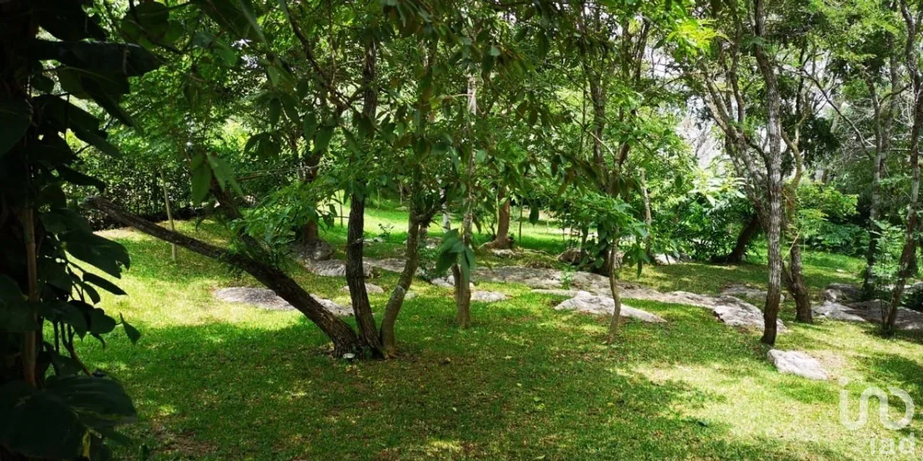 Casa en Venta en Ocozocoautla de Espinosa Centro, Ocozocoautla de Espinosa, Chiapas | NEX-266962 | iad México | Foto 22 de 22