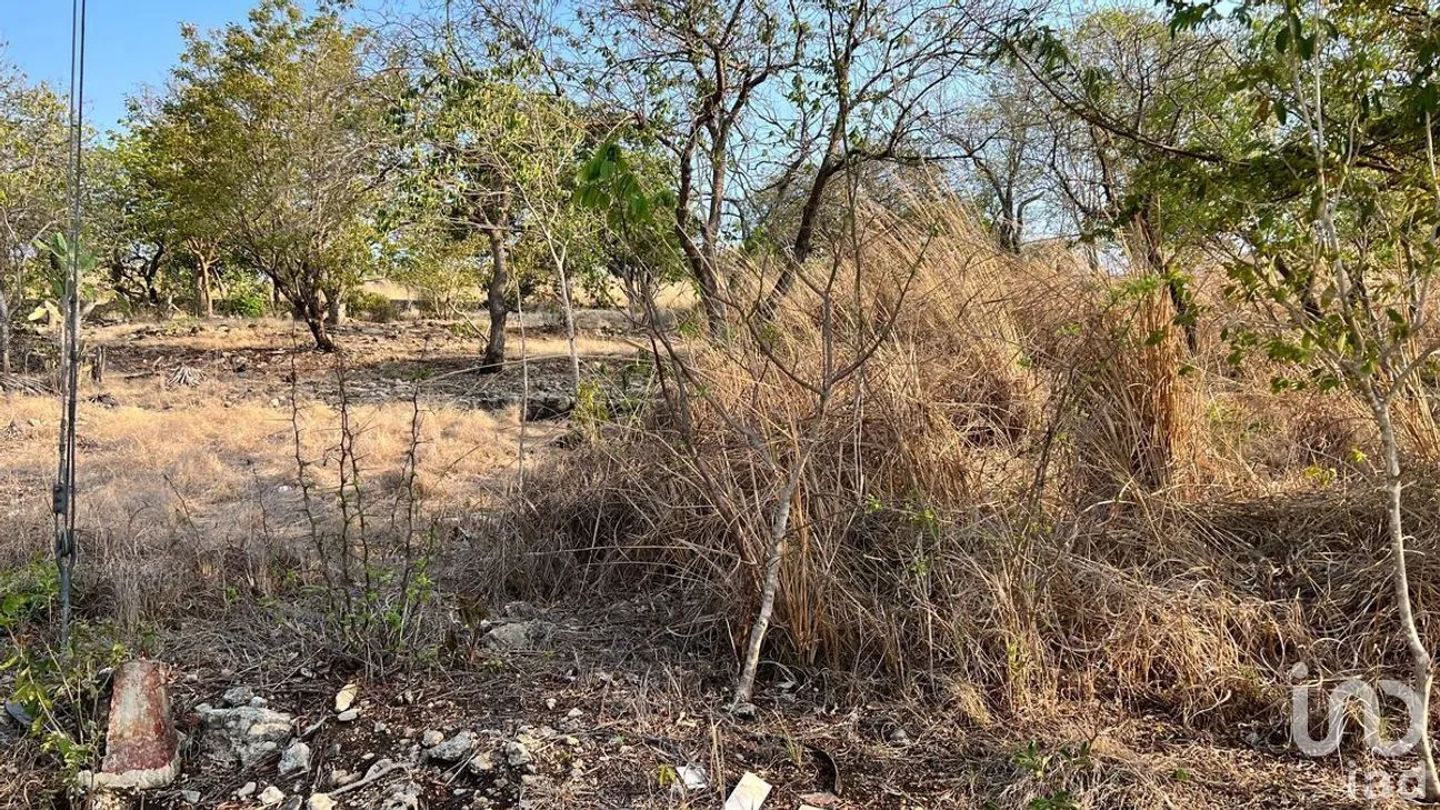 Terreno en Venta en Plan de Ayala, Tuxtla Gutiérrez, Chiapas | NEX-266976 | iad México | Foto 3 de 5