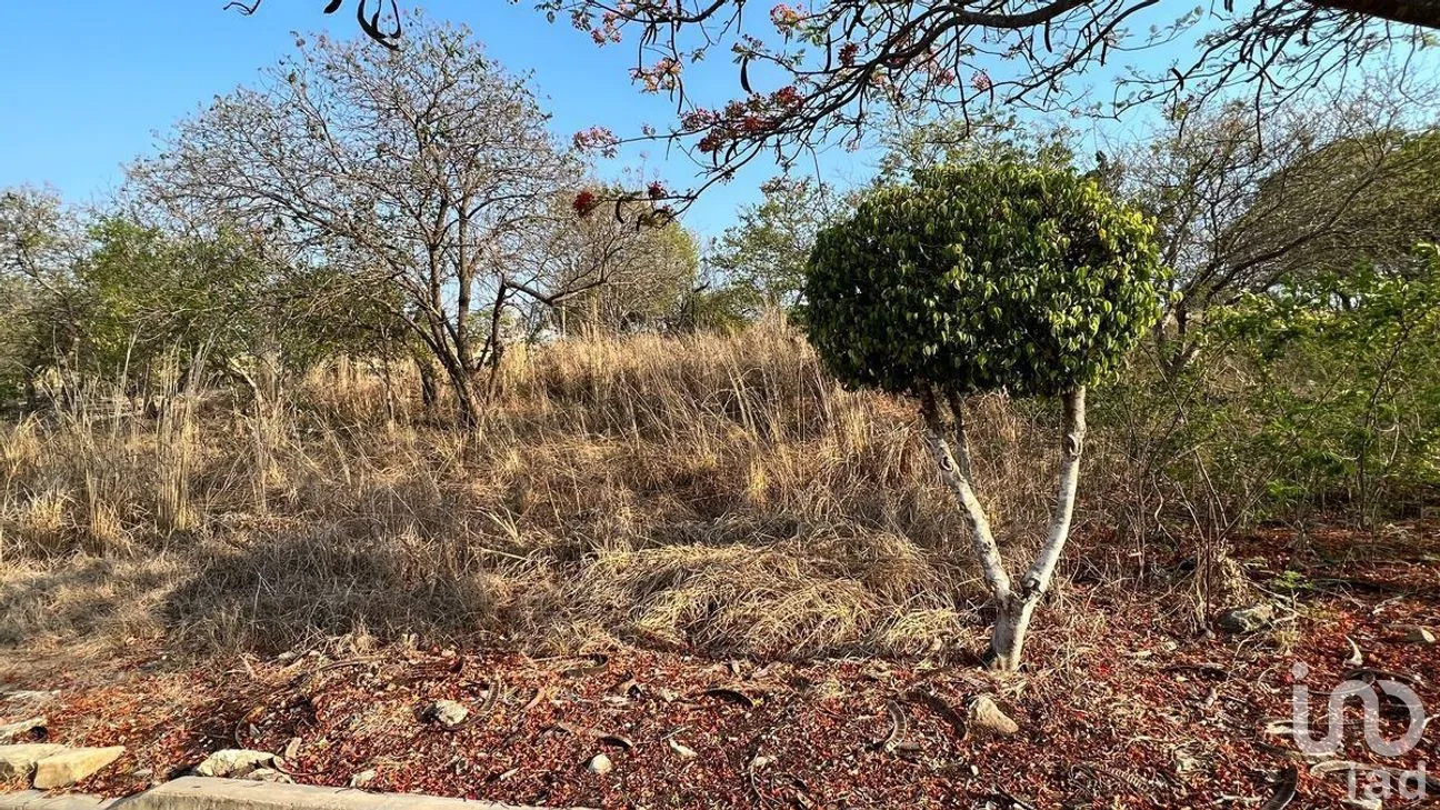 Terreno en Venta en Plan de Ayala, Tuxtla Gutiérrez, Chiapas | NEX-266976 | iad México | Foto 4 de 5