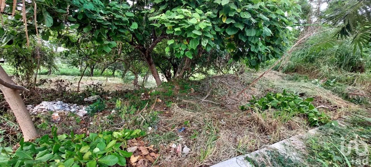 Terreno en Venta en Los Pájaros, Tuxtla Gutiérrez, Chiapas | NEX-266985 | iad México | Foto 2 de 6
