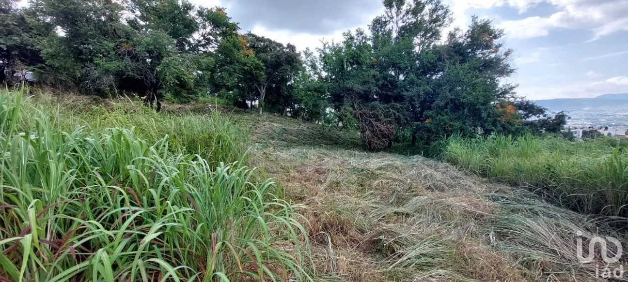 Terreno en Venta en Los Pájaros, Tuxtla Gutiérrez, Chiapas | NEX-266985 | iad México | Foto 3 de 6